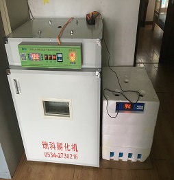 2孵化機(jī).JPG